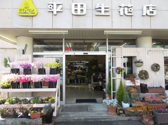 「平田生花店」　（島根県松江市）の花屋店舗写真1