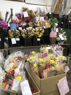 ありがとうございます｜「平田生花店」　（島根県松江市の花キューピット加盟店 花屋）のブログ