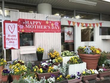 母の日｜「平田生花店」　（島根県松江市の花キューピット加盟店 花屋）のブログ
