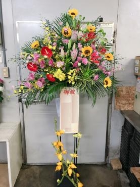 御祝スタンド花｜「平田生花店」　（島根県松江市の花キューピット加盟店 花屋）のブログ