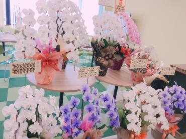 お祝いの胡蝶蘭｜「平田生花店」　（島根県松江市の花キューピット加盟店 花屋）のブログ