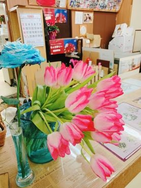 チューリップ｜「平田生花店」　（島根県松江市の花キューピット加盟店 花屋）のブログ