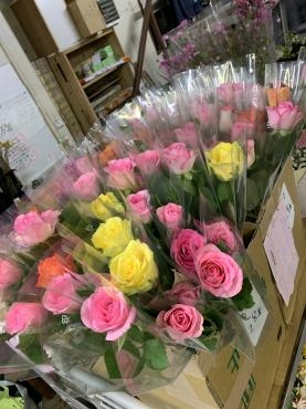 １本花｜「平田生花店」　（島根県松江市の花キューピット加盟店 花屋）のブログ
