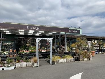 つくし｜「平田生花店」　（島根県松江市の花キューピット加盟店 花屋）のブログ