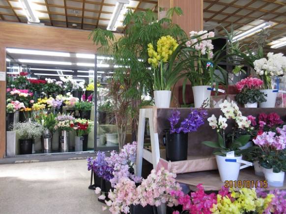 「平田生花店」　（島根県松江市）の花屋店舗写真2